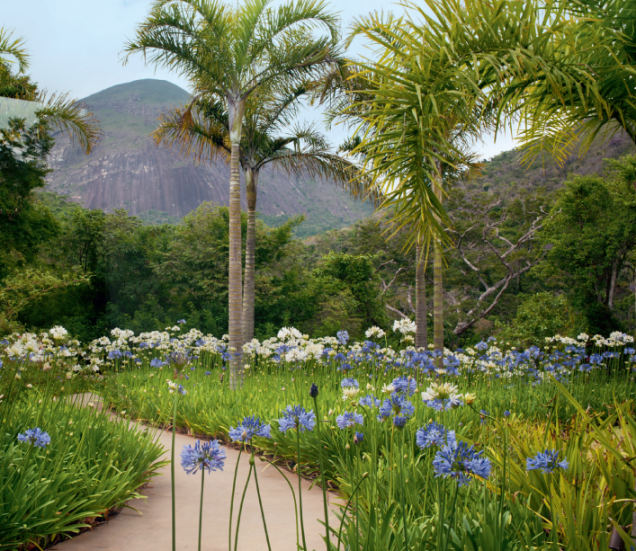 <span>O Projeto El, de Daniela Infante, é o vencedor da categoria Paisagismo. A paisagista participou da CASACOR Rio de Janeiro 2016</span> <span>O Projeto El, de Daniela Infante, é o vencedor da categoria Paisagismo. A paisagista participou da CASACOR Rio de Janeiro 2016</span>