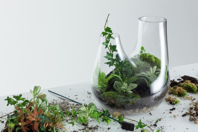 8. Limpe todo o excesso de terra ao redor do copo do recipiente e adicione uma pequena quantidade de água. 8. Limpe todo o excesso de terra ao redor do copo do recipiente e adicione uma pequena quantidade de água.