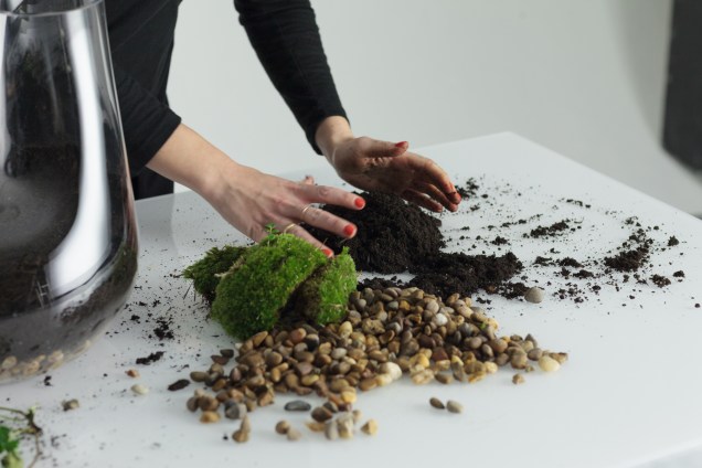 4. Retire a maior planta do seu recipiente e remova a terra das raízes. Se preferir, você pode querer cortar as raízes para que elas não fiquem muito longas. 4. Retire a maior planta do seu recipiente e remova a terra das raízes. Se preferir, você pode querer cortar as raízes para que elas não fiquem muito longas.