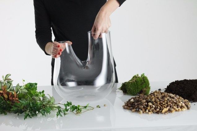 1. Limpe o interior do vaso para garantir que não haja resíduos que possam prejudicar a planta. 1. Limpe o interior do vaso para garantir que não haja resíduos que possam prejudicar a planta.