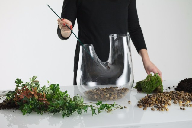 2. Encha o fundo do vaso com uma camada de 4 cm de pequenas rochas para drenar a água. 2. Encha o fundo do vaso com uma camada de 4 cm de pequenas rochas para drenar a água.