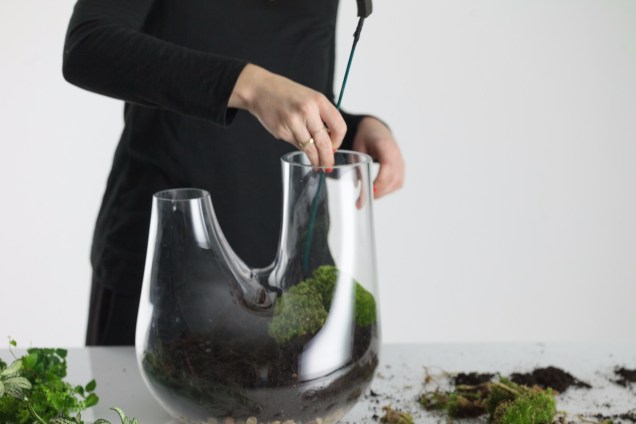 5. Faça um buraco na terra e acomode as raízes da planta maior dentro. Em seguida, aperte o solo com firmeza para manter a planta no lugar. 5. Faça um buraco na terra e acomode as raízes da planta maior dentro. Em seguida, aperte o solo com firmeza para manter a planta no lugar.