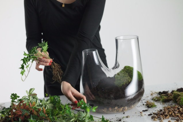 6. Coloque aproximadamente uma planta a cada polegada dentro do recipiente. 6. Coloque aproximadamente uma planta a cada polegada dentro do recipiente.