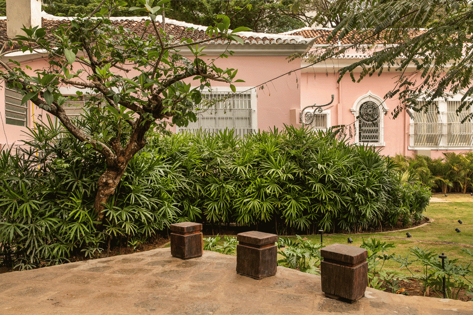 CASACOR Pernambuco 2018. Jardim de Entrada - Casa Forte Arquitetura Paisagística. Para conectar a arquitetura paisagística aos demais elementos da casa e amenizar os efeitos da urbanização exagerada, a opção foi explorar a vegetação em diferentes alturas. O projeto cria jardins verticais, um jardim de chuva e inclui uma colmeia de abelhas - sem ferrão.