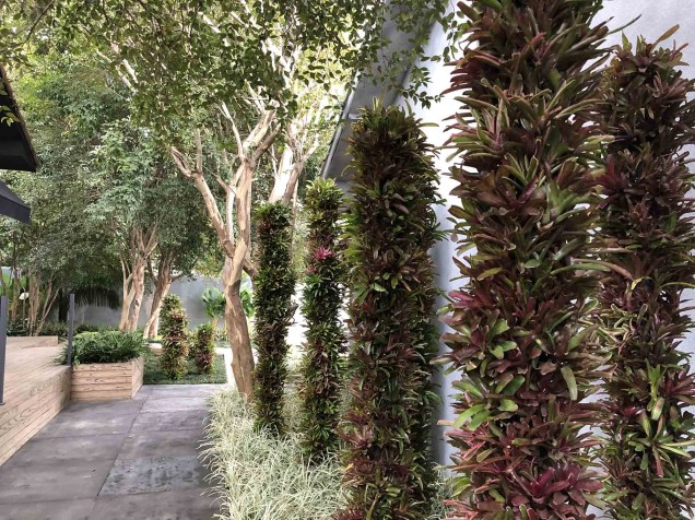 Jardim de Pandora - Alalou Paisagismo. Vencedor da categoria Melhor Jardim. Jardim de Pandora - Alalou Paisagismo. Vencedor da categoria Melhor Jardim.