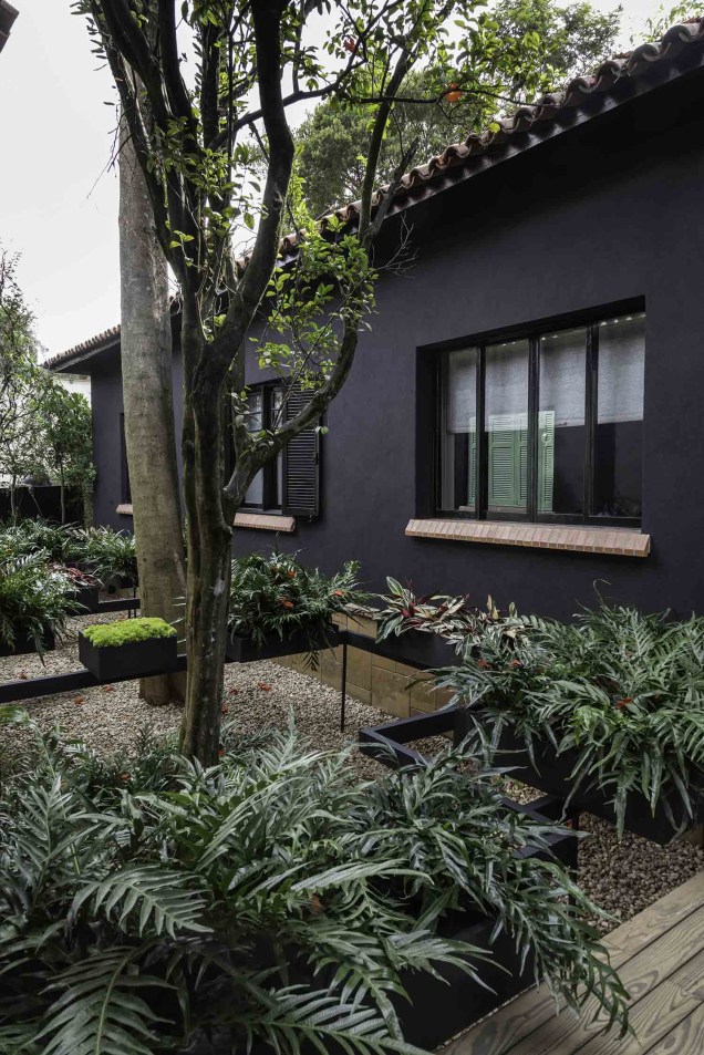 Jardim de Pandora - Alalou Paisagismo. Vencedor da categoria Melhor Jardim. Jardim de Pandora - Alalou Paisagismo. Vencedor da categoria Melhor Jardim.