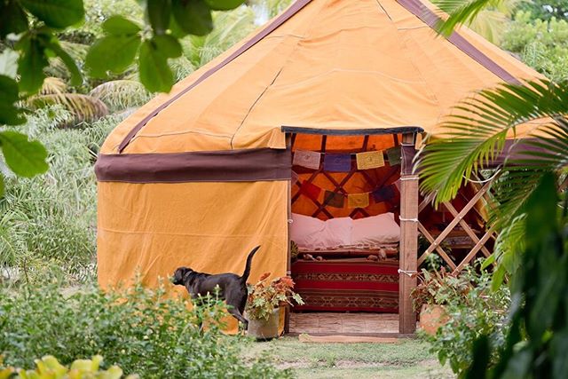 A Yurta Caraíva construiu uma das formas mais ancestrais de habitação da Ásia Média, técnica do Quirguistão que agora se hospeda no Sul da Bahia. Utilizada a mais de 3 mil anos, a construção milenar é hoje um patrimônio tombado pela UNESCO. A Yurta é uma tenda de utilidade nômade feita por processos inteiramente artesanais, hoje feita por dois jovens Pataxós na Costa do Descobrimento, Sul da Bahia.