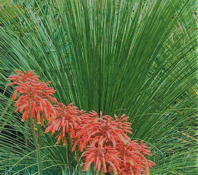 jardim-mes-a-mes jardim-mes-a-mes