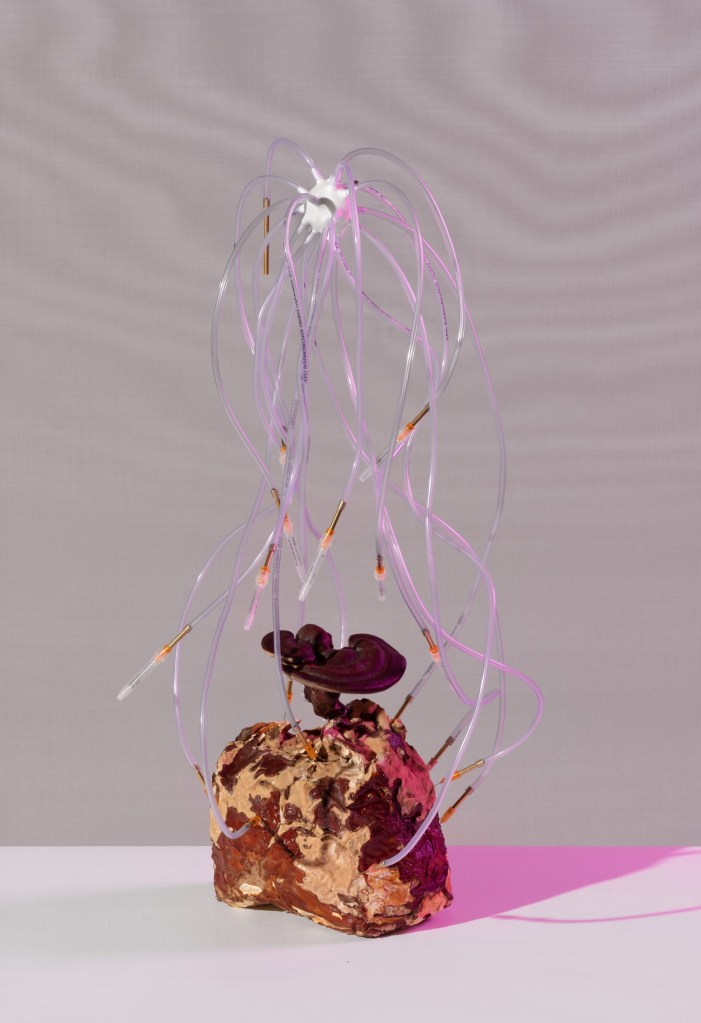 metabolic-processes-for-leftovers-exhibition-malmo_dezeen_2364_col_3-1-scaled metabolic-processes-for-leftovers-exhibition-malmo_dezeen_2364_col_3-1-scaled