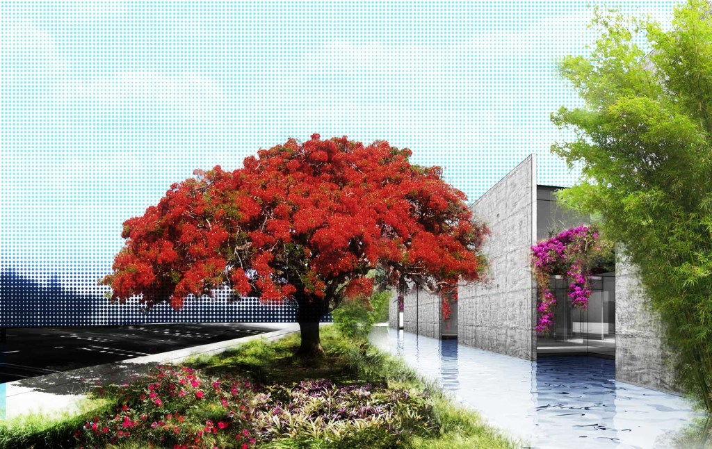 museu-do-pontal-financiamento-coletivo-paisagismo-arquitetos-associados-2 coletivo paisagismo arquiteto associados projeto render plantio mudas