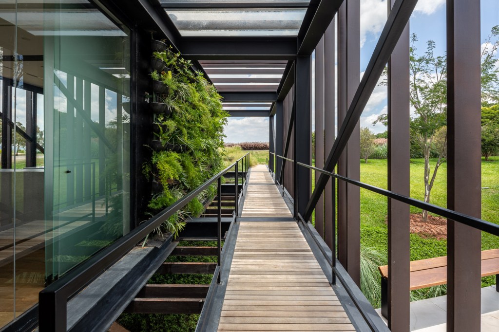 Casa_Cigarra_11 Casa Cigarra; Building Of The Year; FGMF Arquitetos; arquitetura; casa; inspiração