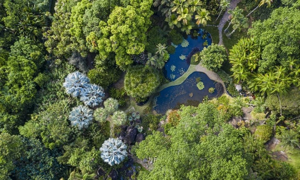 burle marx sitio roberto burle marx paisagismo noticia reabertura vegetação rio de janeiro