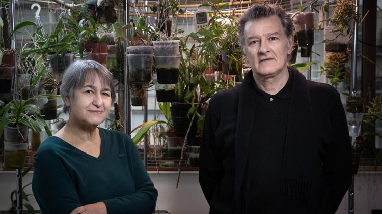 anne lacaton jean phillipe vassal vencem o premio pritzker 2021 entenda quem sao os arquitetos