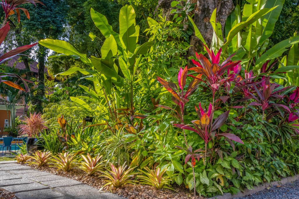 bromélias; casacor rio; ricardo portilho; jardim