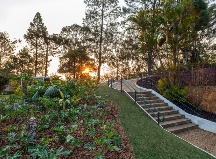 Nãna Guimarães - Restauro do Jardim de Burle Marx. Desde a edição da CASACOR Minas de 2019, a paisagista enfrenta um desafio: restaurar os jardins do terreno do Palácio das Mangabeiras. Concebidos por Roberto Burle Marx, eles trazem a essência do mestre, que proporcionava a valorização da flora brasileira para ser admirada e usada com plantas que, dificilmente, eram encontradas em jardins e praças do país. O ponto alto do trabalho é a organização das espécies, que possibilita ver a beleza de cada uma com precisão e respeito.