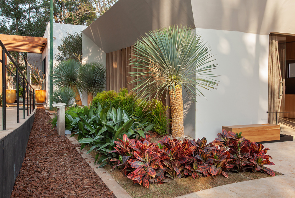 Ex&oacute;tico Sustent&aacute;vel Katiene Rodrigues CASACOR Minas Gerais 2021 jardim plantas paisagismo design