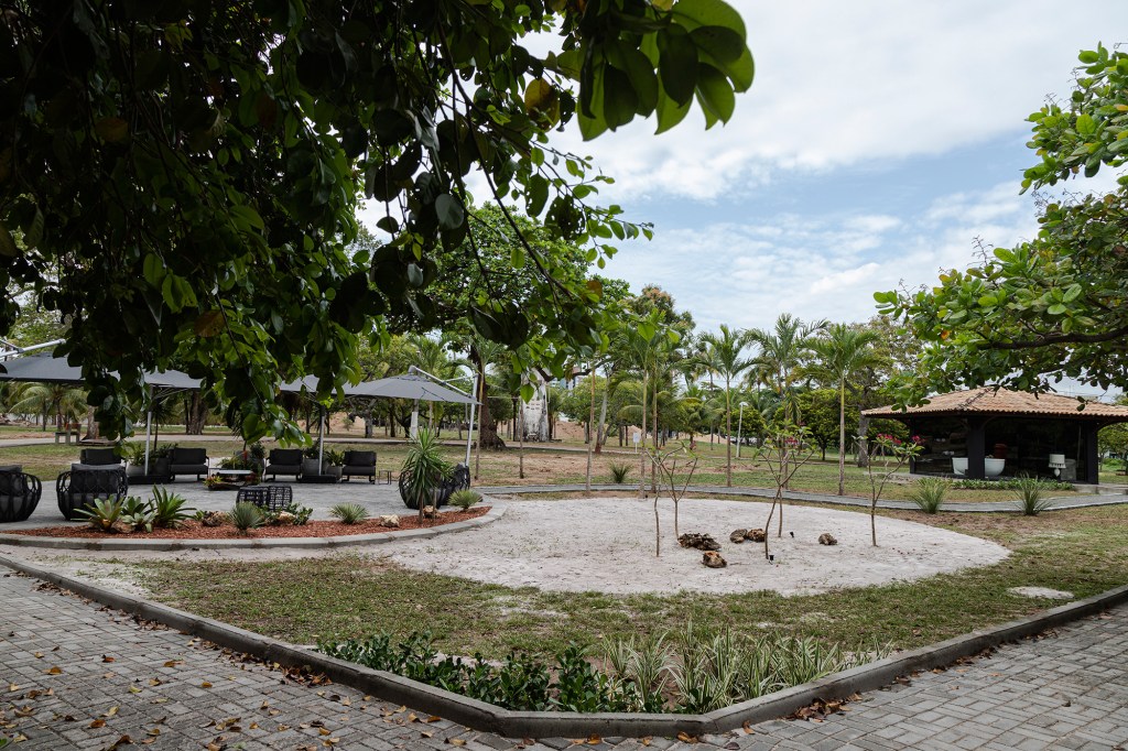Jardim-Sensorial-Lainy-Lemos-Danilo-Sobral-George-Machado-Janelas-Casacor-Sergipe-1 Jardim Sensorial Lainy Lemos Danilo Sobral George Machado Janelas Casacor Sergipe