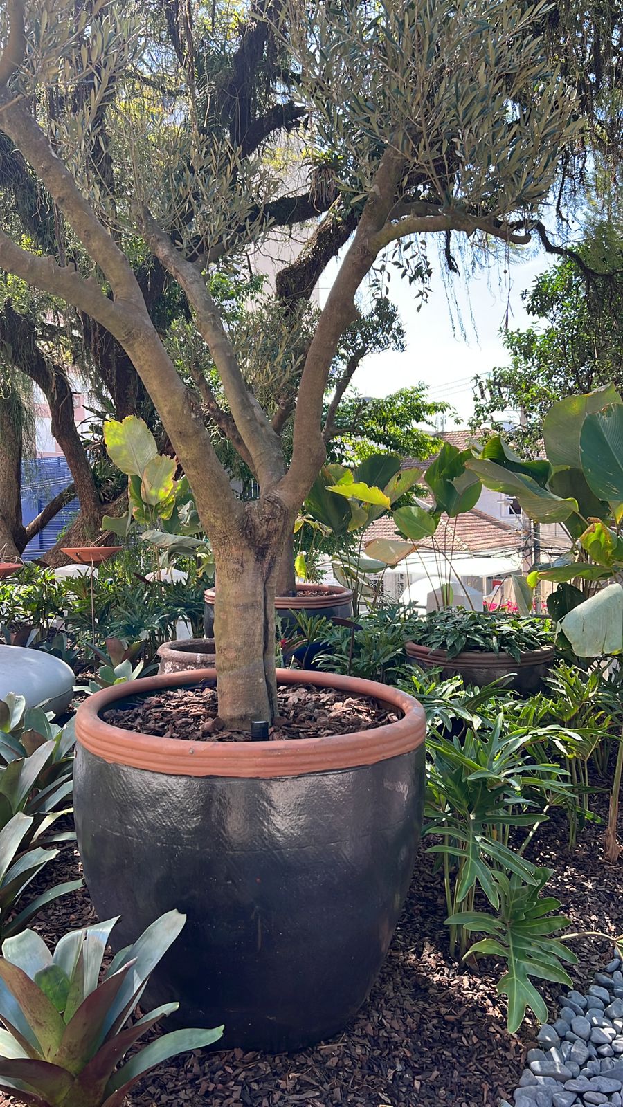 Spoiler CASACOR SC 2022