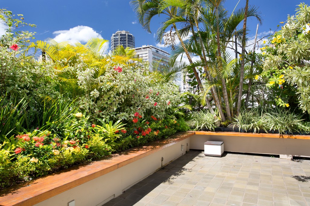 Terraço paisagismo plantas altas Anna Luiza Rothier jardim jardineira