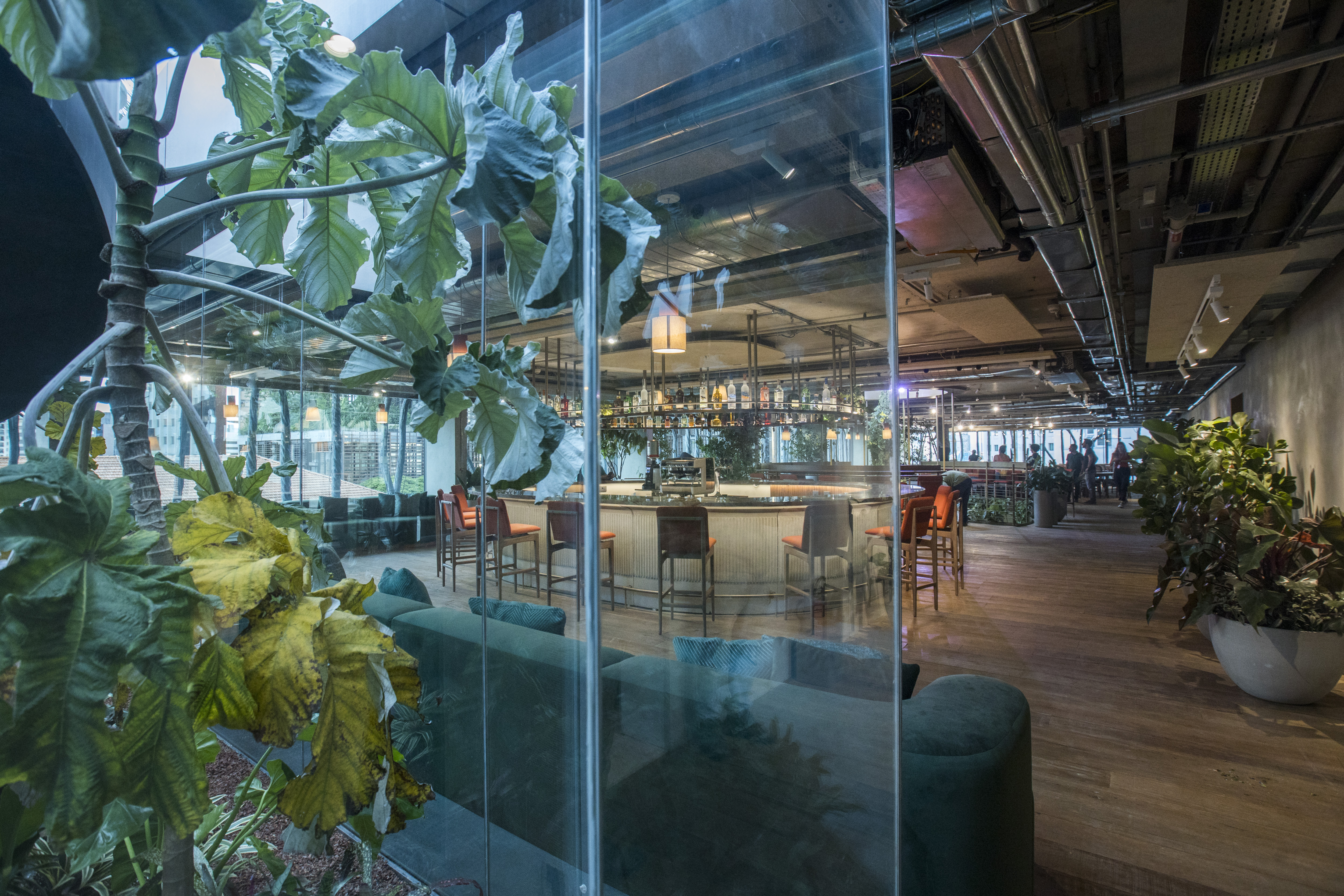 AYA Hub lan&ccedil;a sede com maior ecossistema de baixo carbono do pa&iacute;s