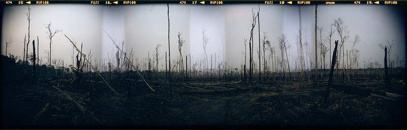 Brasil x Argentina (Amazônia e Patagônia), de Dora Longo Bahia. 2017. Coleção de Fotografia Contemporânea