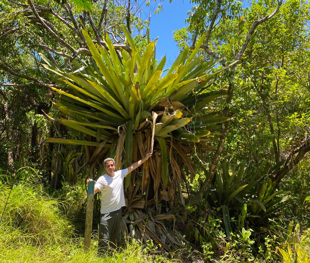 Paisagista Ricardo Cardim